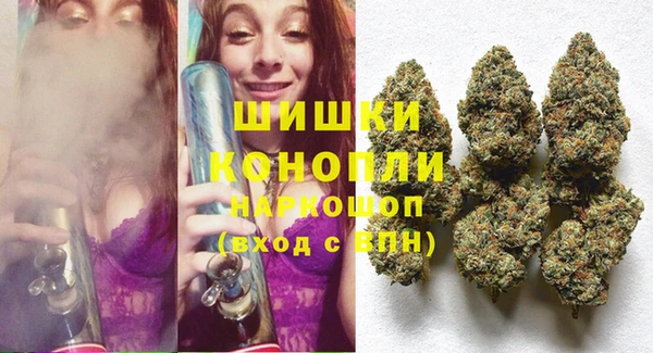 крисы Мегион