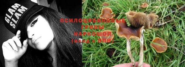 прущие крисы Магас