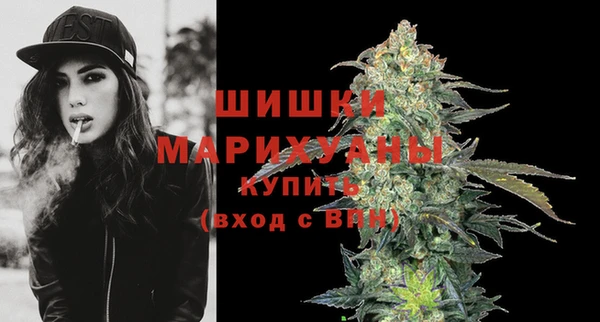 крисы Мегион