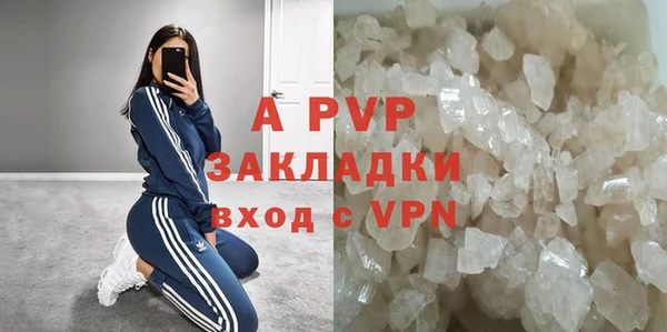 прущие крисы Магас