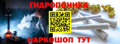 ALPHA PVP Бийск