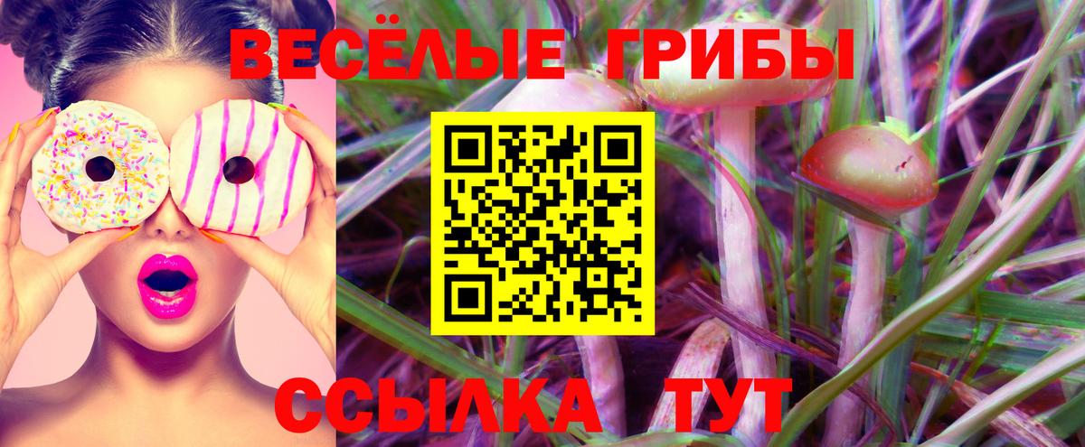 Спасск-Дальний  Галлюциногенные грибы MAGIC MUSHROOMS  Вход с VPN 